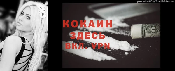 spice Заводоуковск