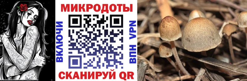 Галлюциногенные грибы GOLDEN TEACHER  Купить где  Камбарка 